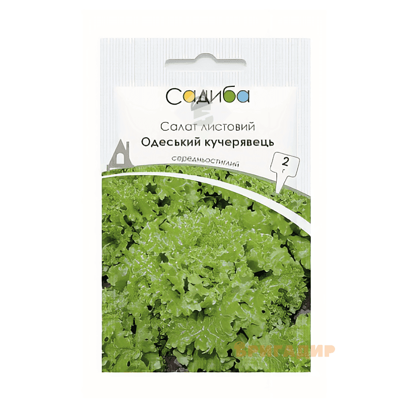 Насіння Салат листовий Кучерявиця Одеський 1г Німччина