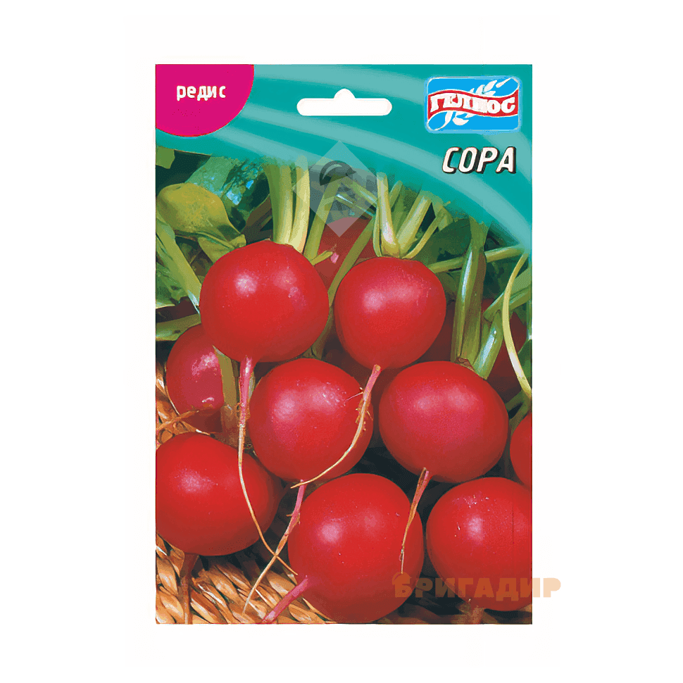 Насіння Редиска (рання) Сора 15г, Німеччина