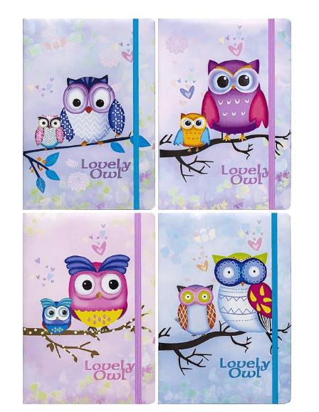 Блокнот на резинці А6 14*9см 80ар. тверда обкладинка  5702-17 лінія