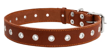Ошийник шкіра 35мм