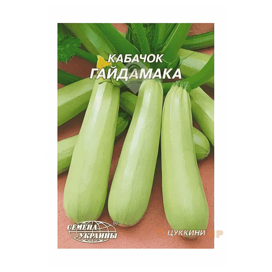 Кабачок Гайдамака 10г