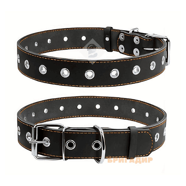 329-0179 Шлея з повідцем для котів і дрібних порід собак WAUDOG Nylon з QR паспортом,малюнком "Луска"XS(ширина 10мм,В 25-40см,С 20-30см)