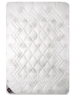 Ковдра AIR DREAM 200*220 CLASSIC оконтована ЗИМА (троянди) 8000011752