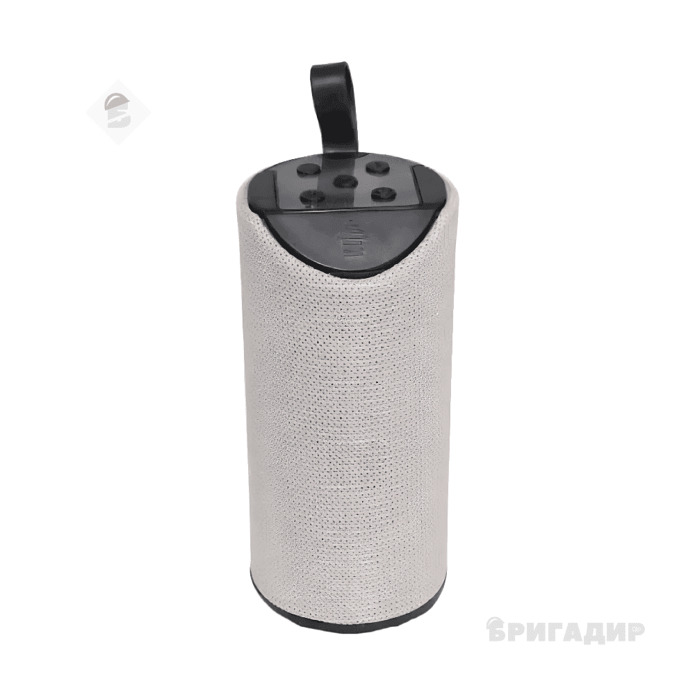 Портативна колонка Grunhelm AST-311G,сіра (RECA)
