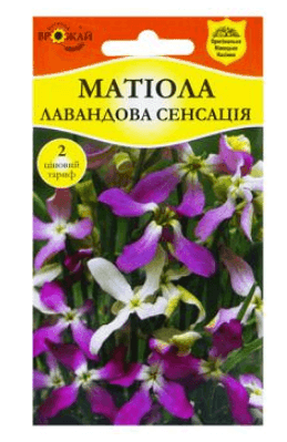 Насіння Матіола Лавандова сенсація 1 г. Німеччина
