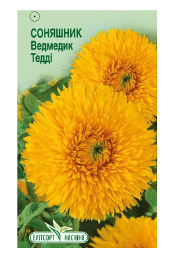 Насіння Соняшник декоративний Ведмедик Тедді 1 г. Німеччина