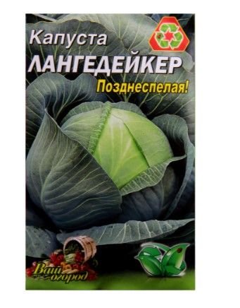 Насіння Капуста білоголова (пізня) Лангедейкер 5 г, Німеччина