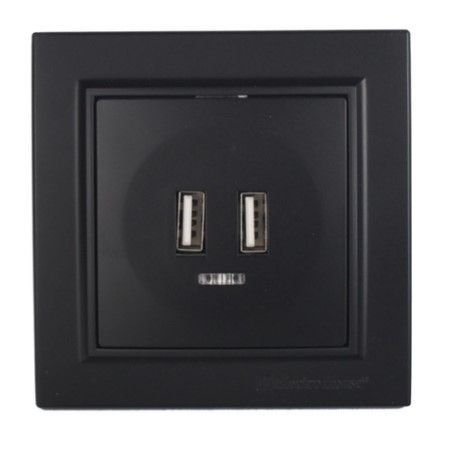 Розетка USB 2порти 2А графіт