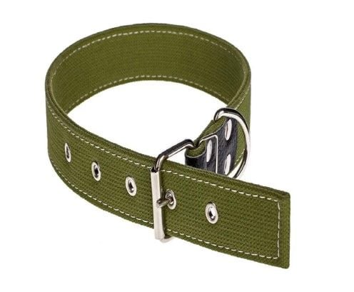 Нашийник 40ммх0,69м