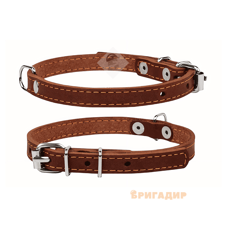 00166 Нашийник коричневий (12мм*24-32см) "Collar"