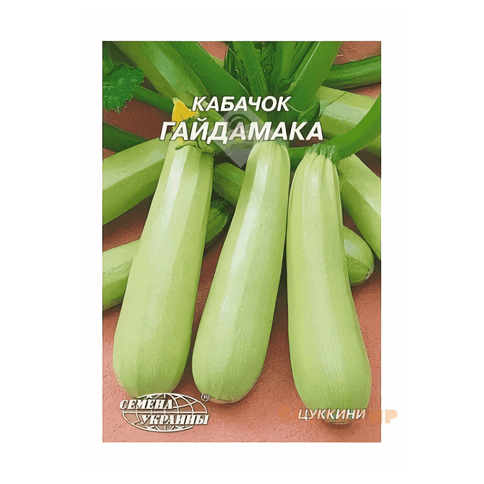 Кабачок Гайдамака
