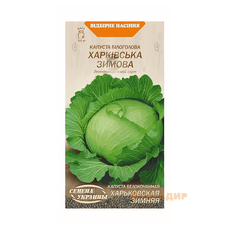 Капуста Харківська зимова