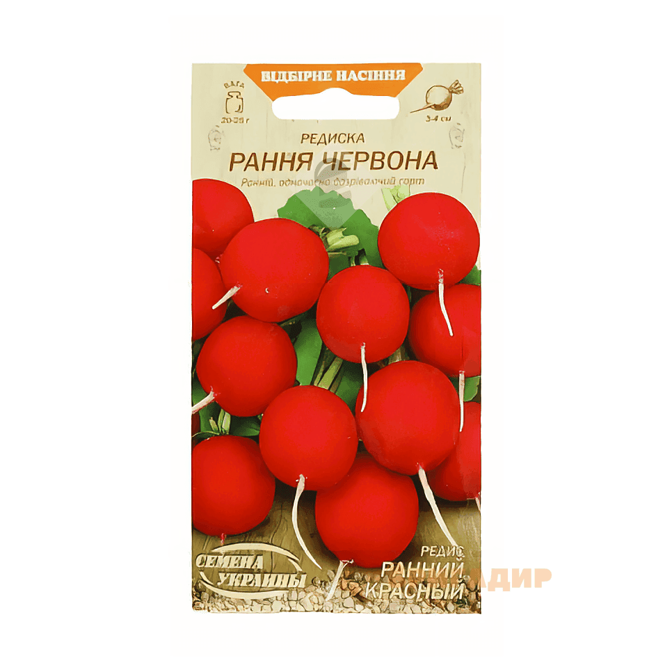 Рання червона редиска