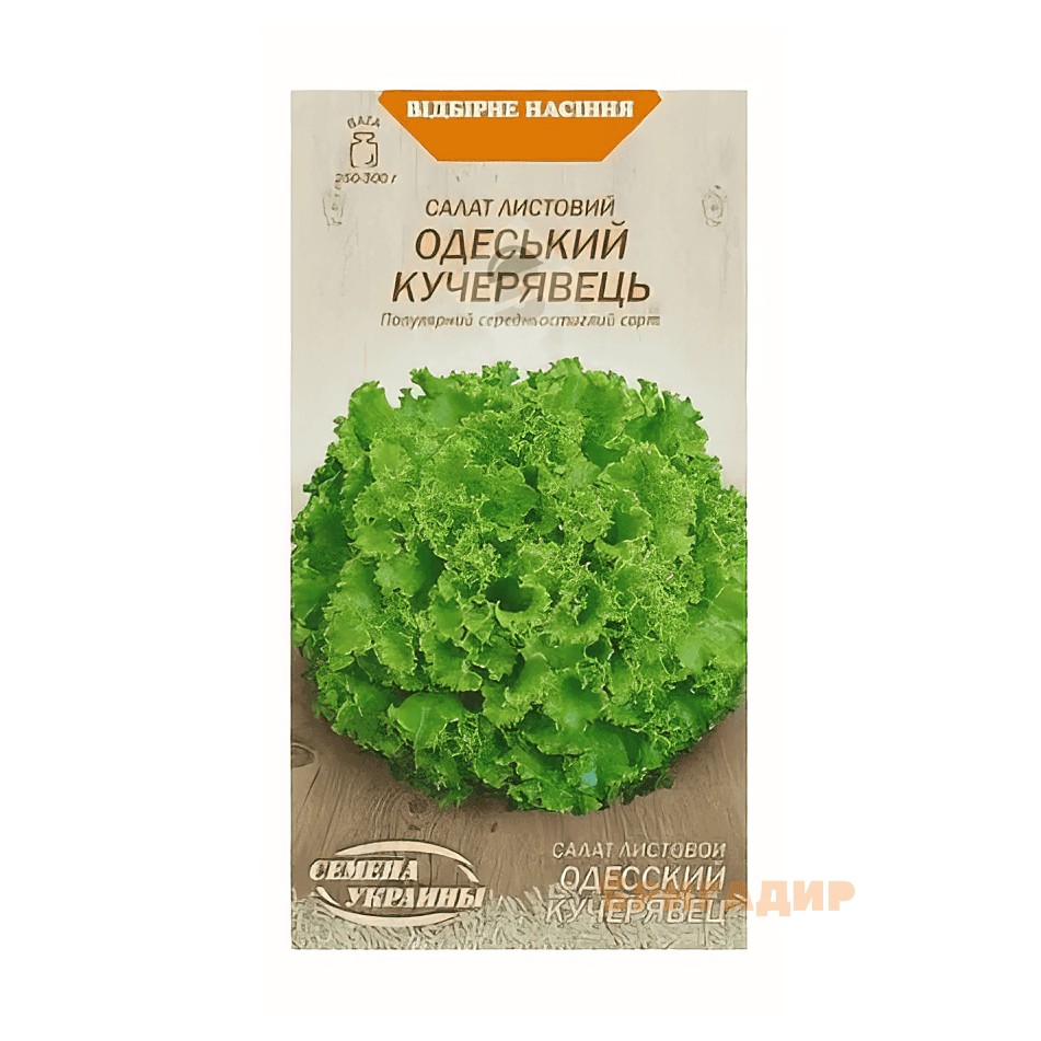 Насіння салату Одеський кучерявець