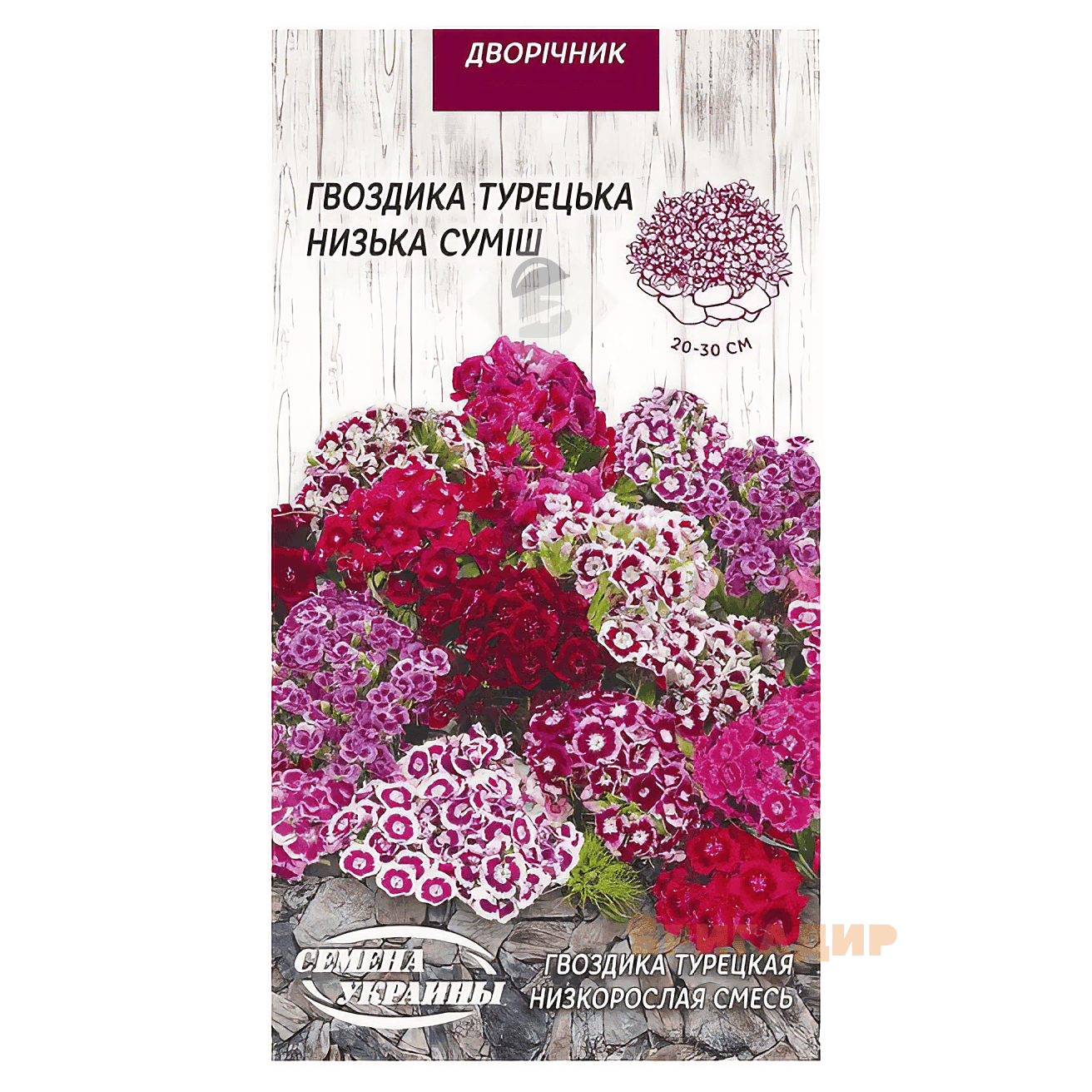 Гвоздика турецька Низькоросла суміш