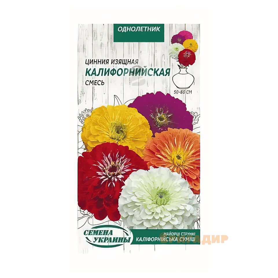 Цинія Каліфорнійська