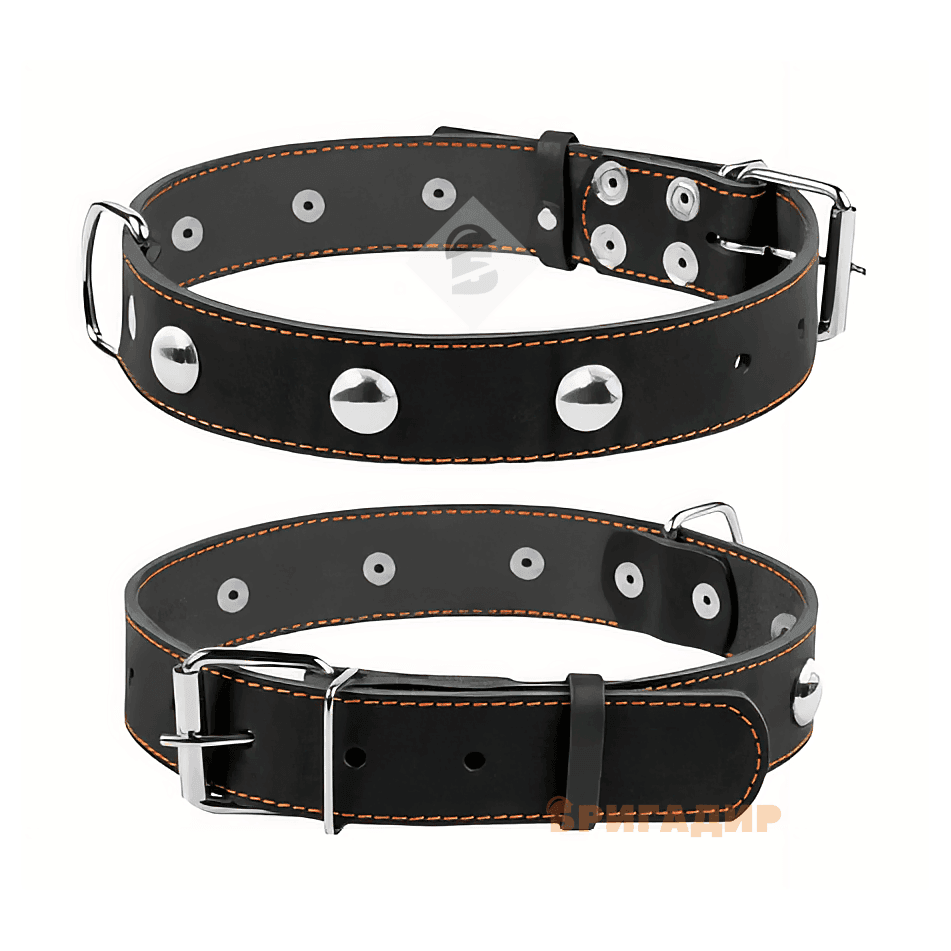 Нашийник подвійний з прикрасою чорний