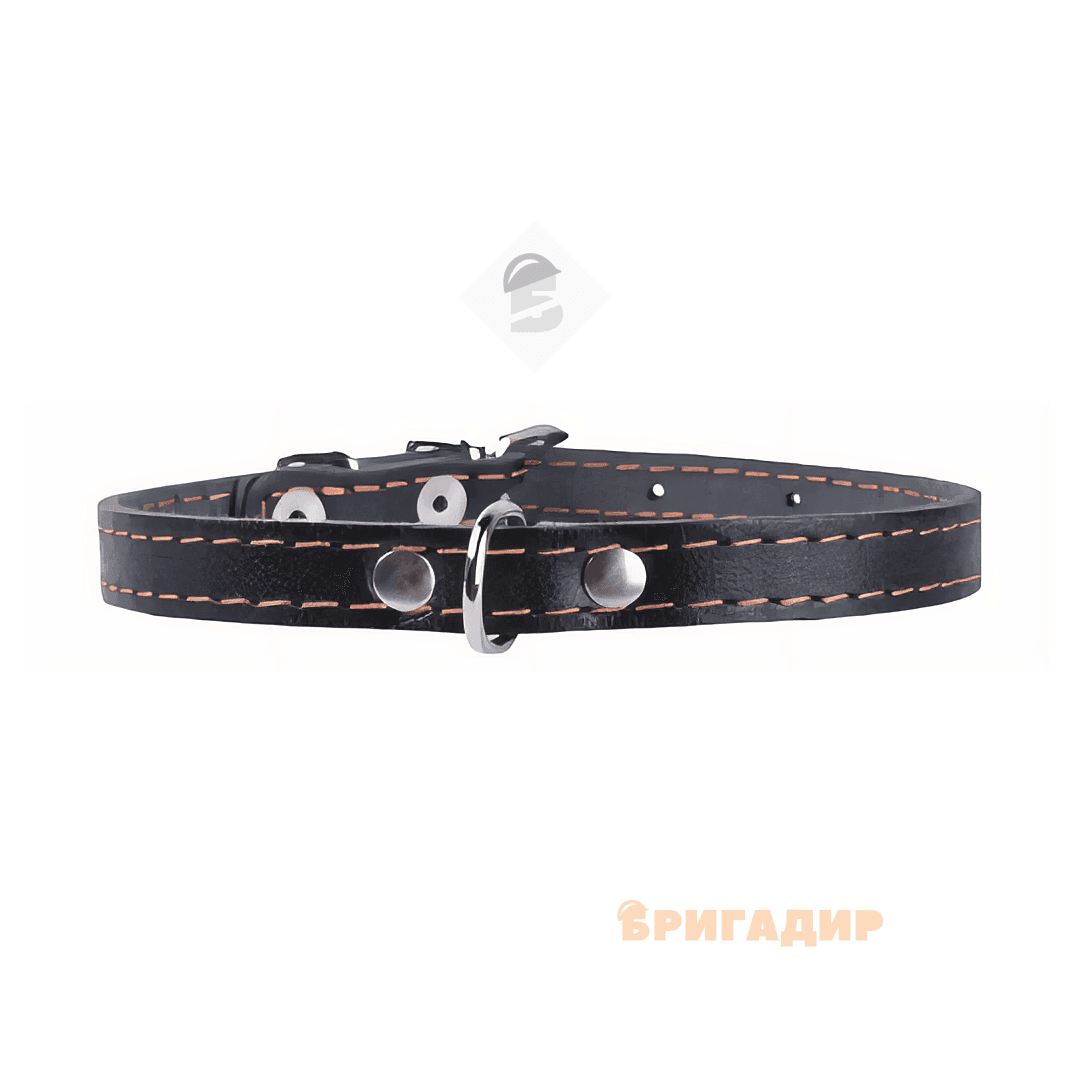 Чорний нашийник Collar