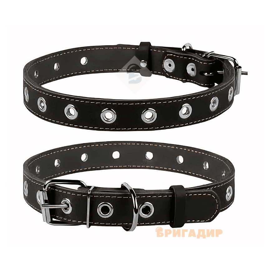 Нашийник безрозмірний чорний