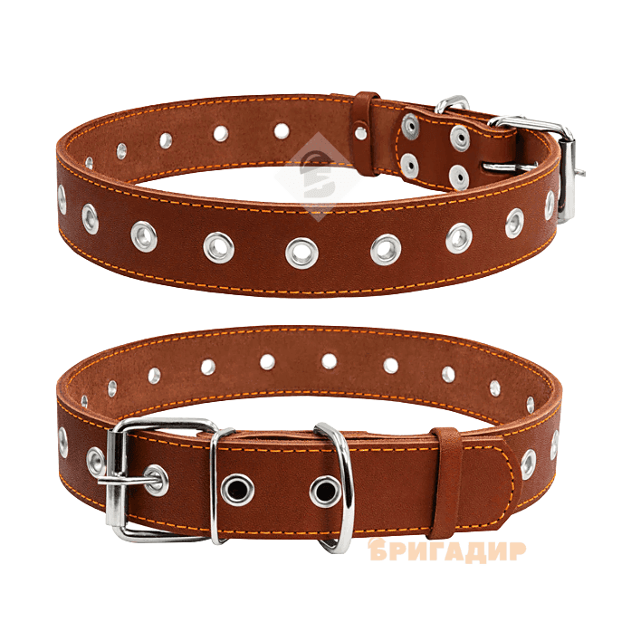 Нашийник безрозмірний коричневий Collar