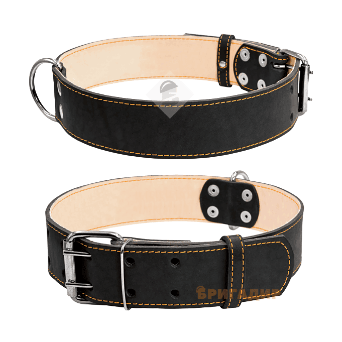 Подвійний чорний нашийник