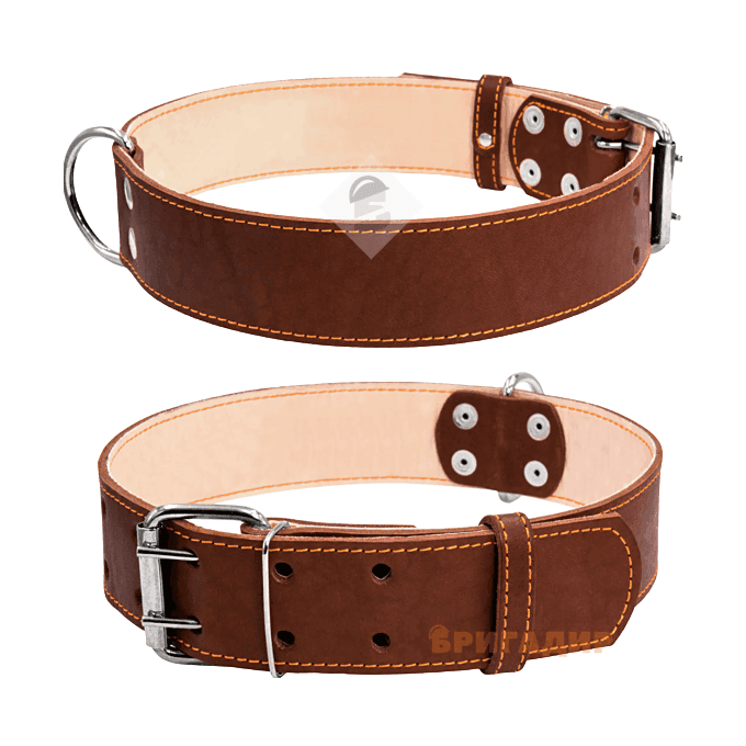Нашийник подвійний коричневий