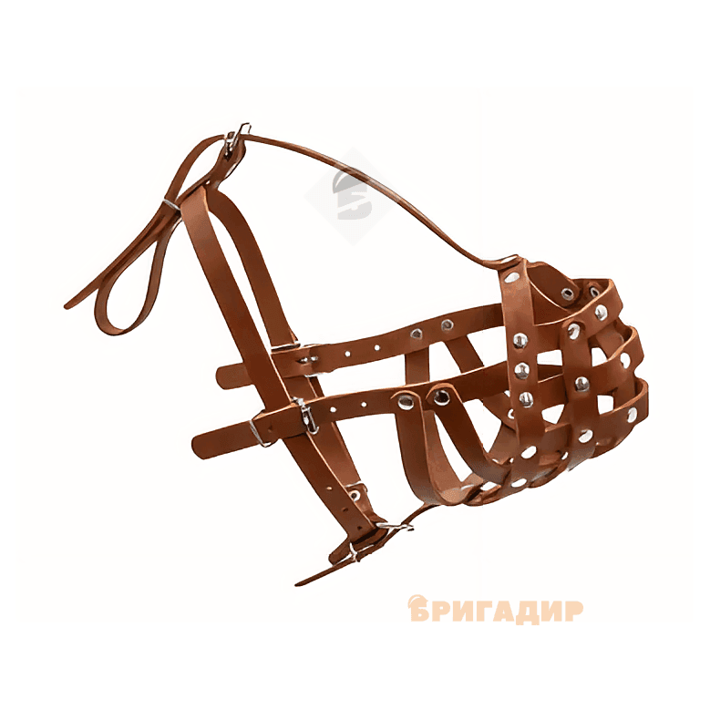 Намордник твердий боксер вел.коричневий Collar 05996