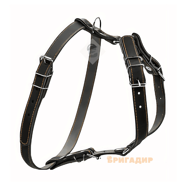 Шлея Collar 06381 Чорна