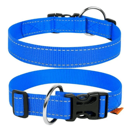 Нашийник подвійний нейлоновий світловідбивний синій Dog Extreme