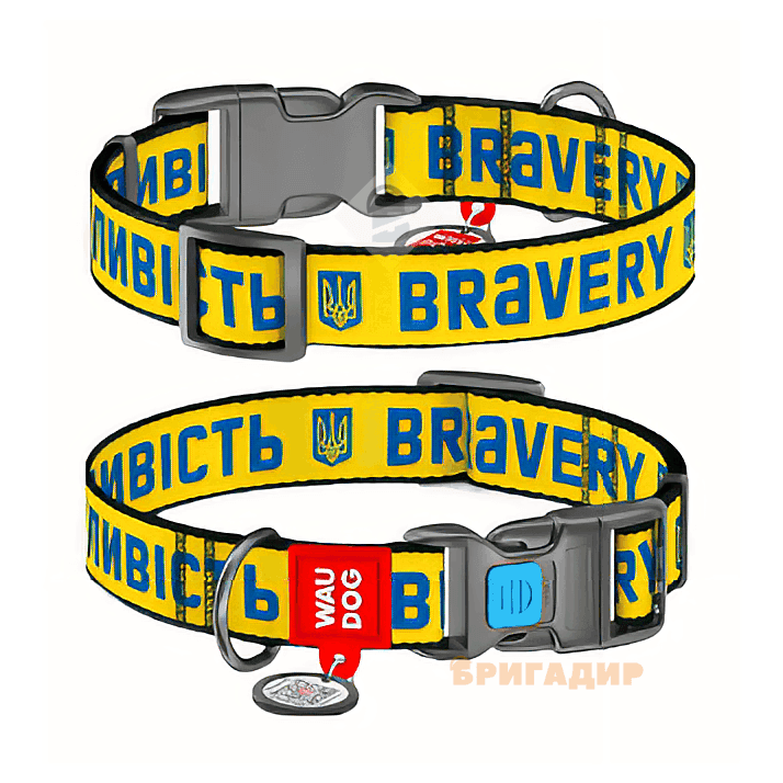 Нашийник для собак нейлоновий WAUDOG Nylon з QR пасп, 'Сміливість'