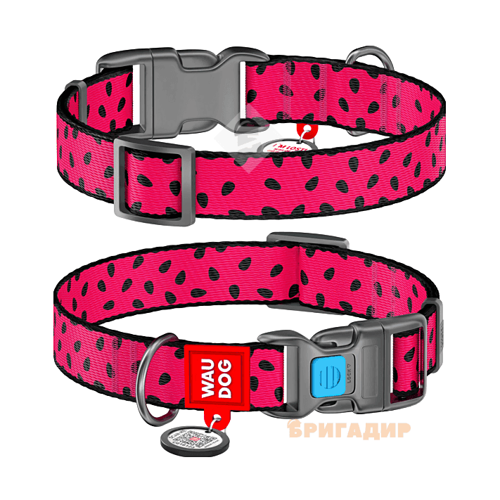 Нашийник WAUDOG Nylon з малюнком Кавун