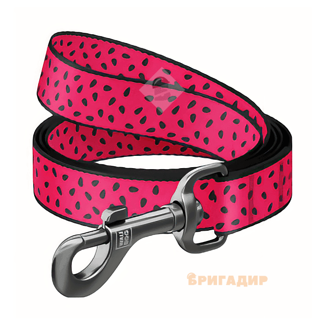 Повідець WAUDOG Nylon Кавун