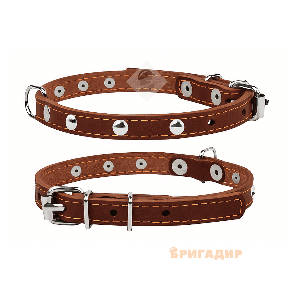 Коричневий нашийник з прикрасами