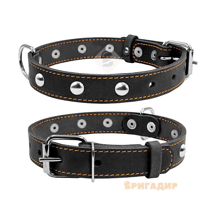 Нашийник одинарний чорний