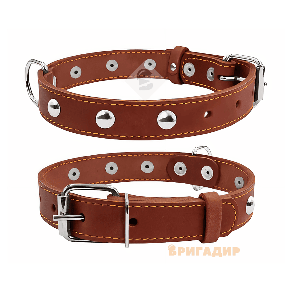 Нашийник з прикрасами коричневий