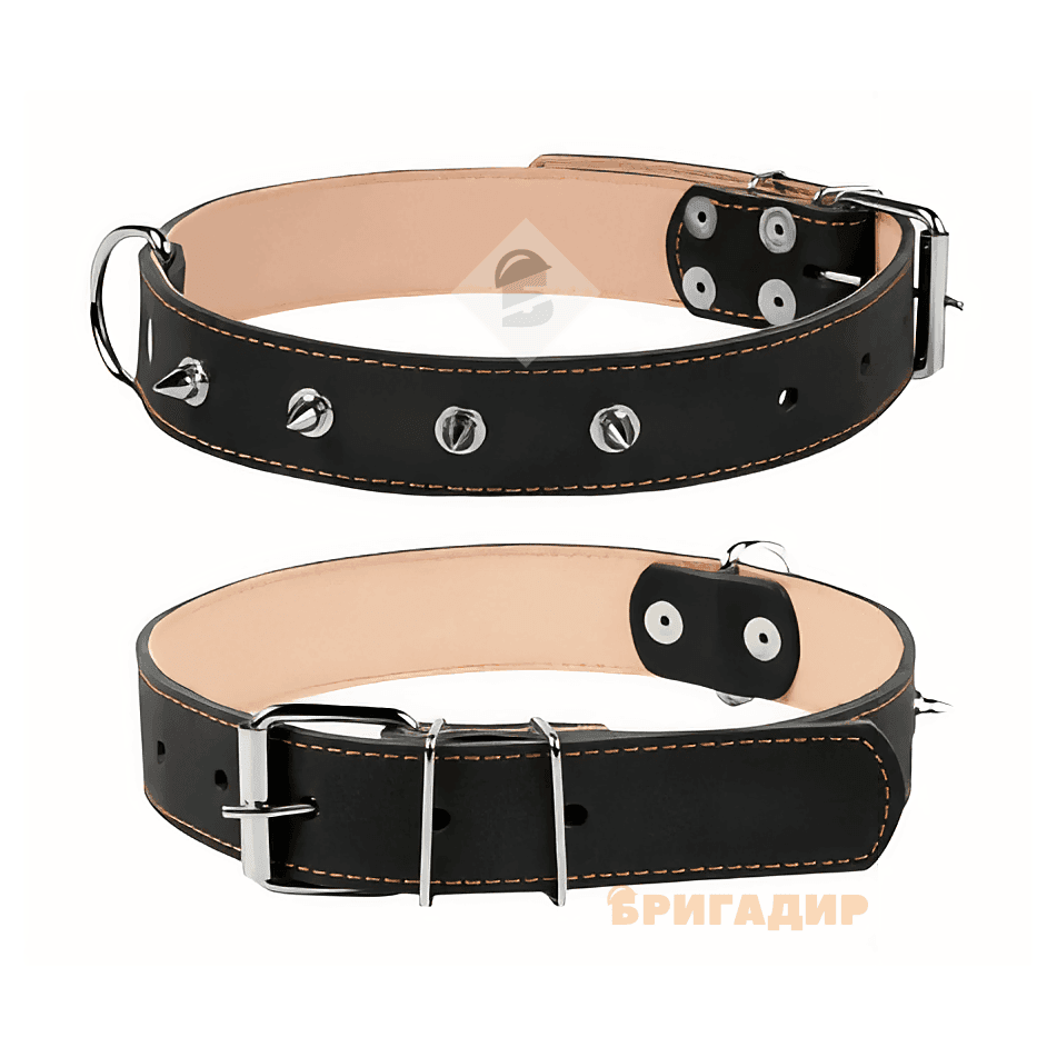 Нашийник з шипами для собак