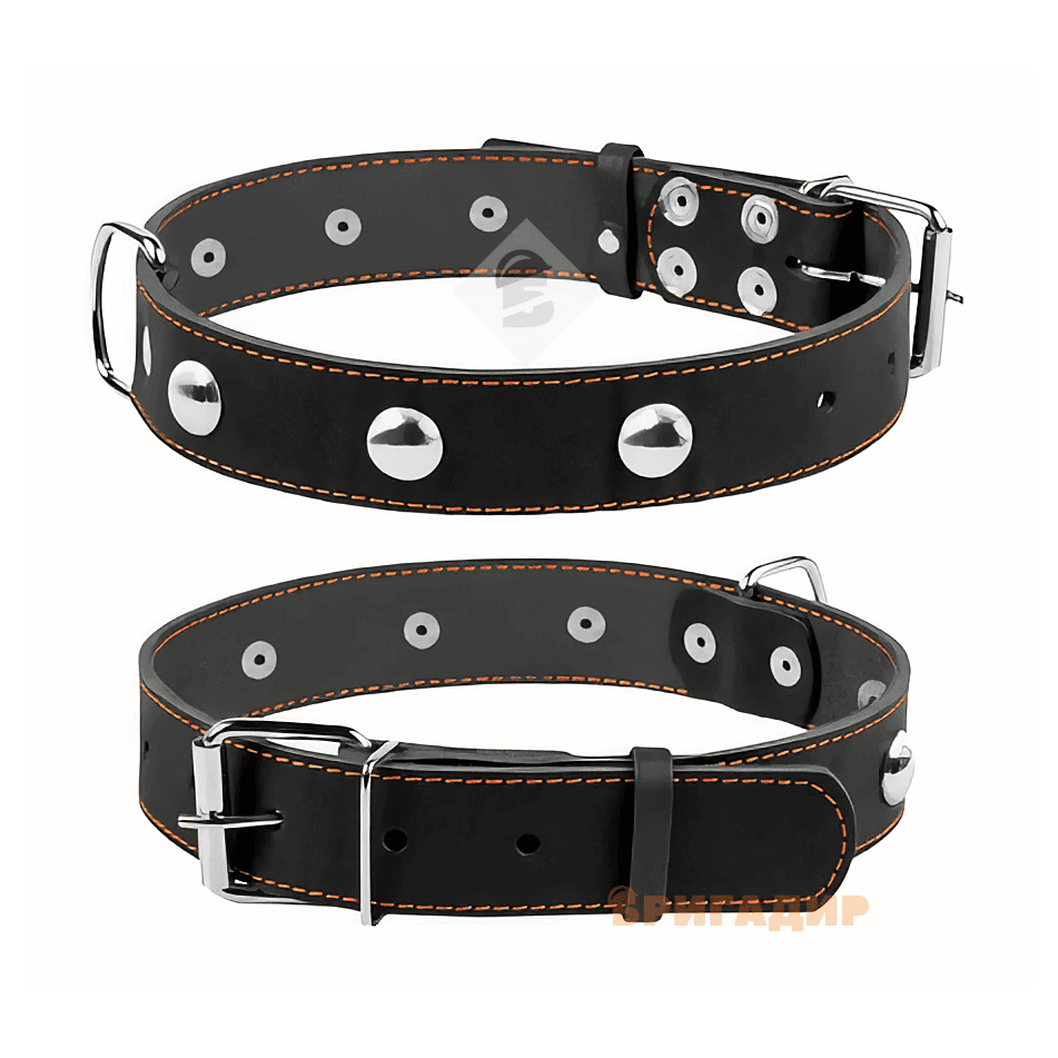 Нашийник Collar