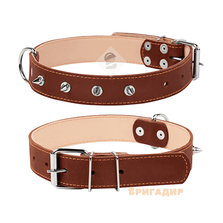 Нашийник подвійний з шипами