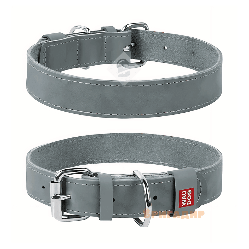 Нашийник WAUDOG Classic