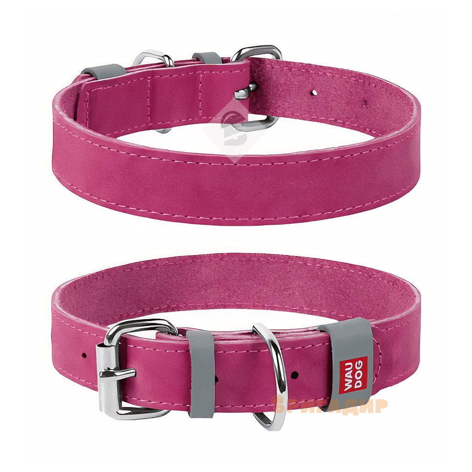 Нашийник WAUDOG Classic