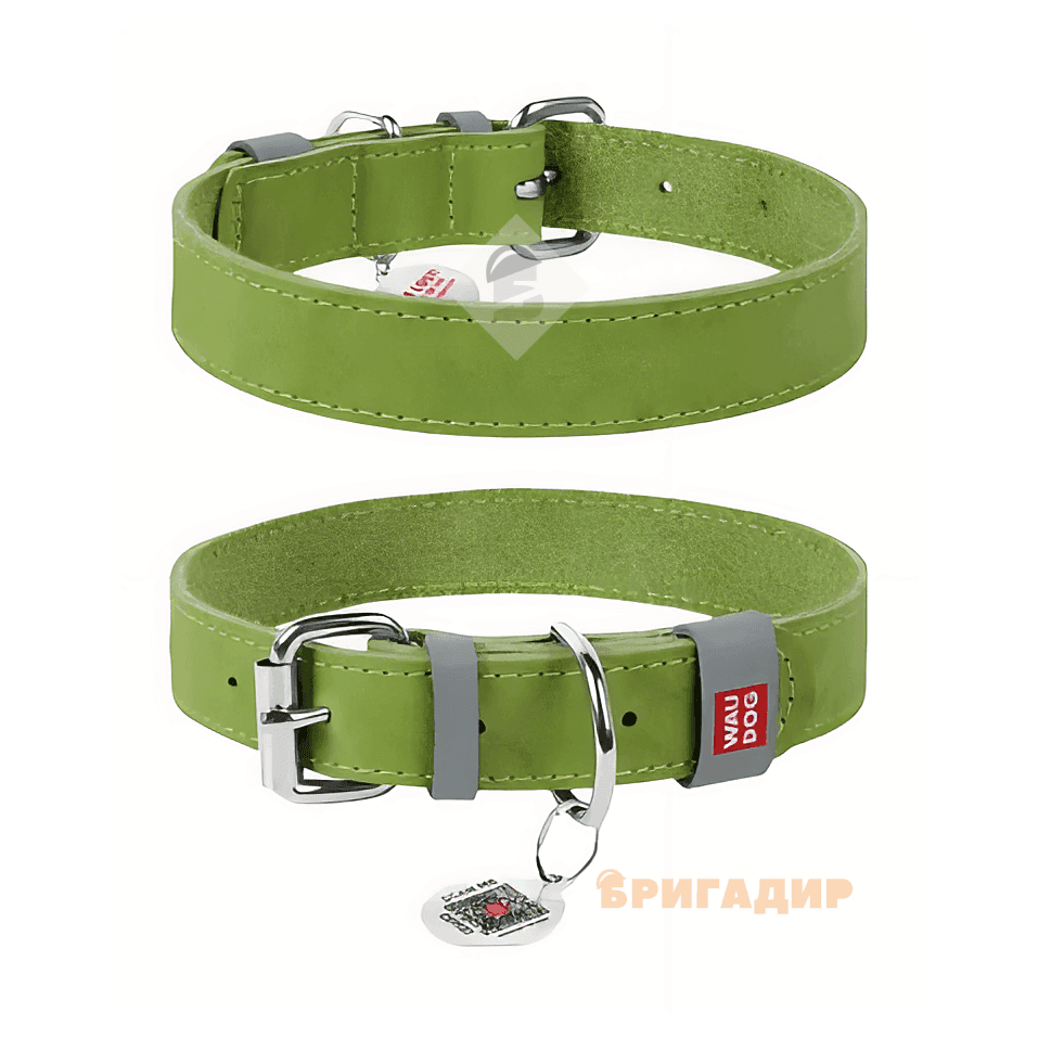 Нашийник WAUDOG Classic
