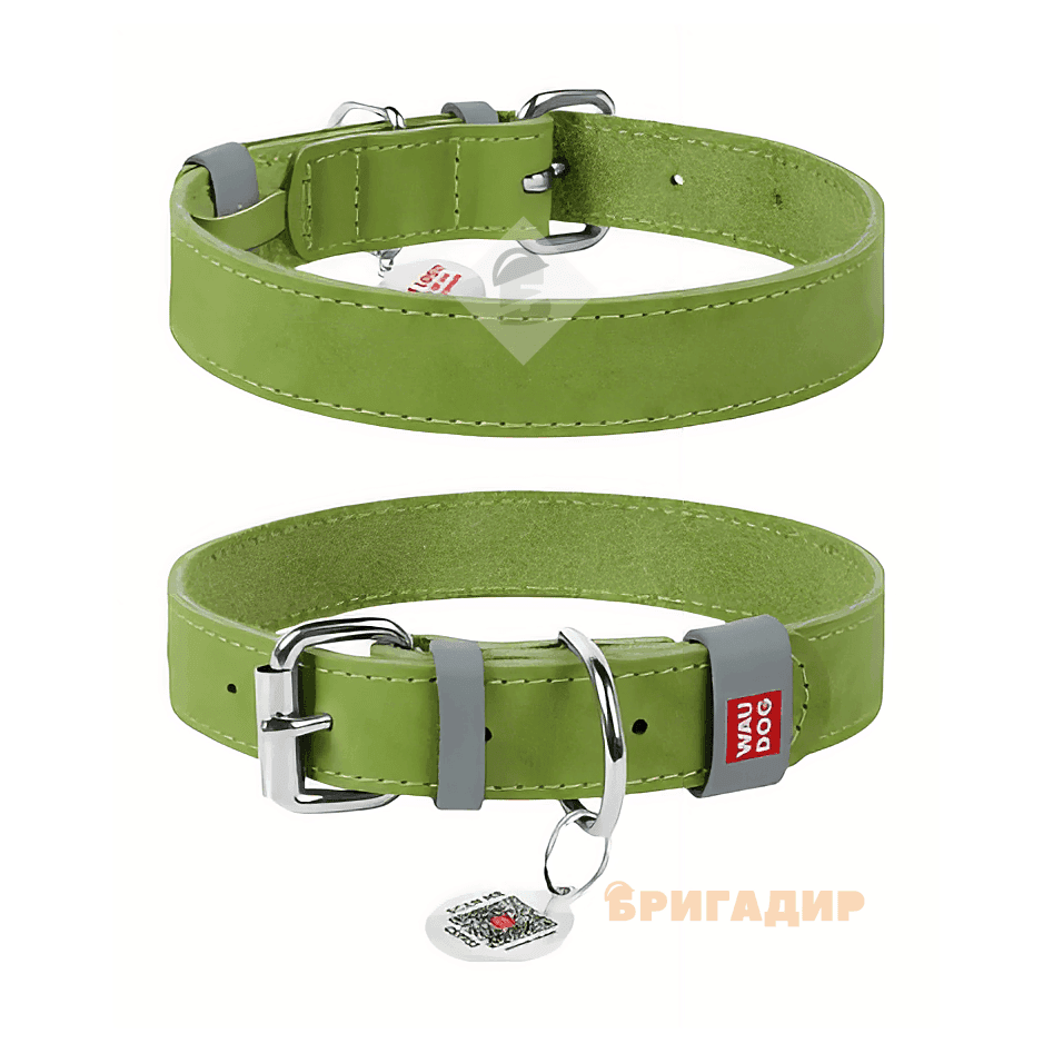 Нашийник WAUDOG Classic