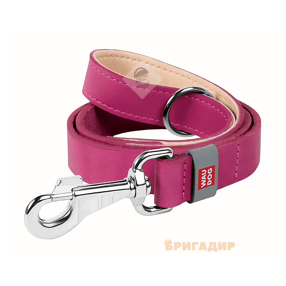 Повідець WAUDOG Classic