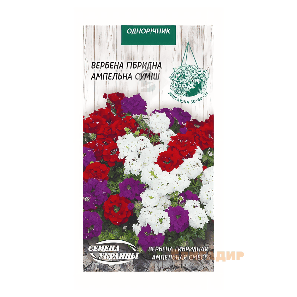 Вербена ампельна Лілово-блакитна