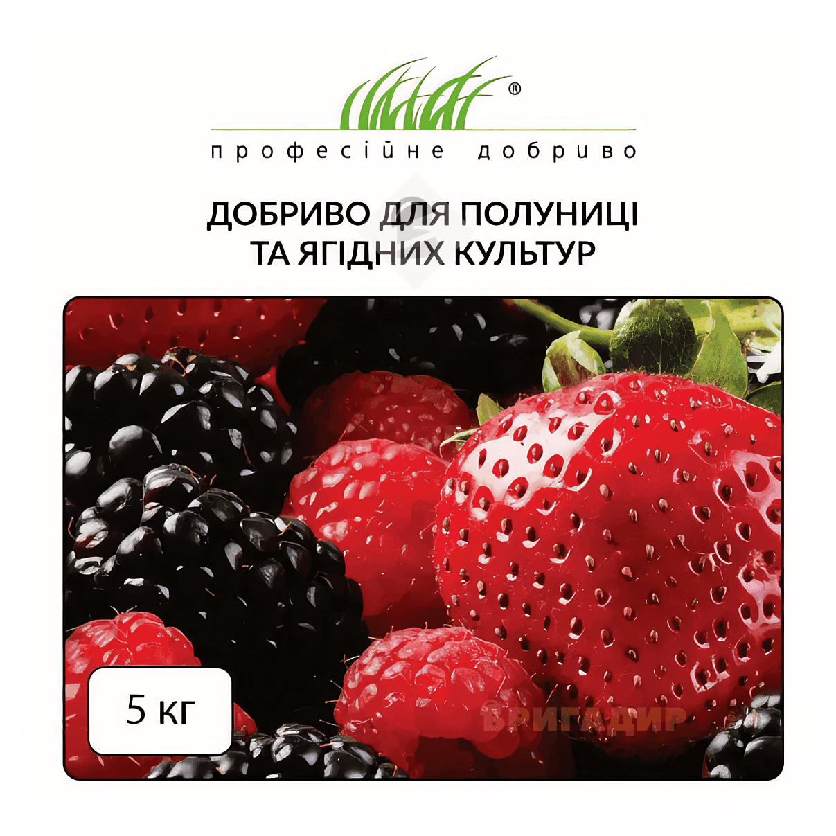 Добриво для полуниці та ягід