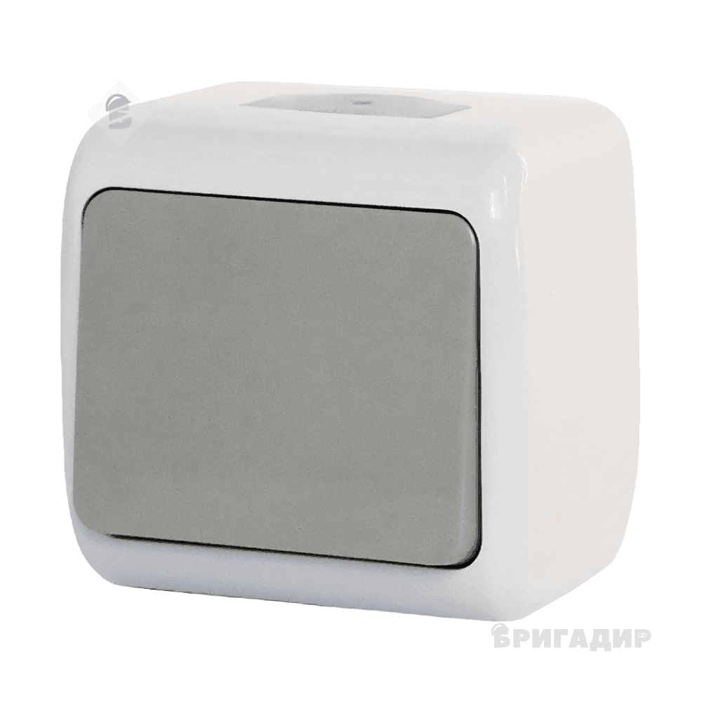 Вимикач накладний 1 кл, прохідний, 10А, NORA, Mutlusan сірий, ІР54