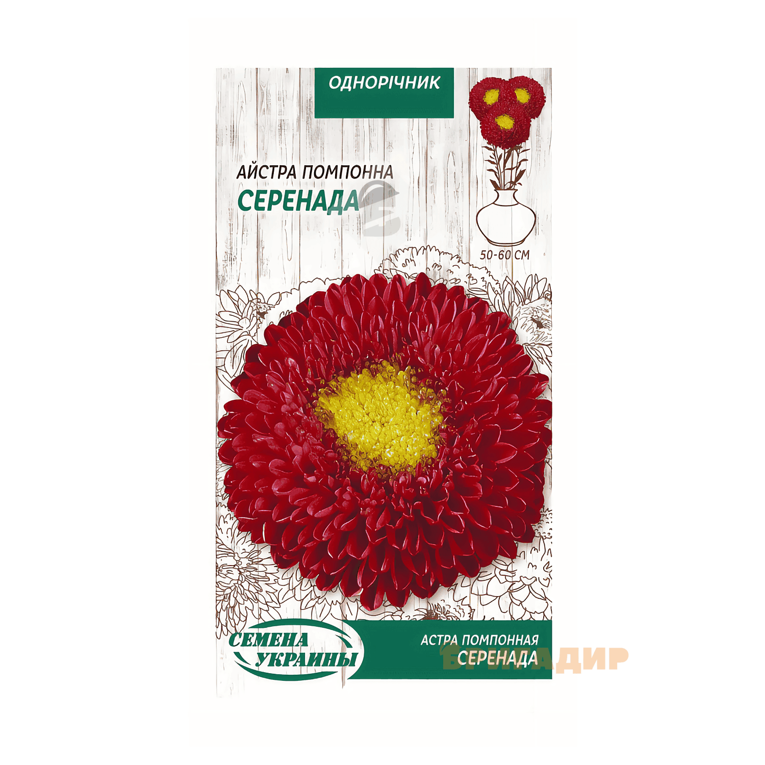 Айстра Серенада