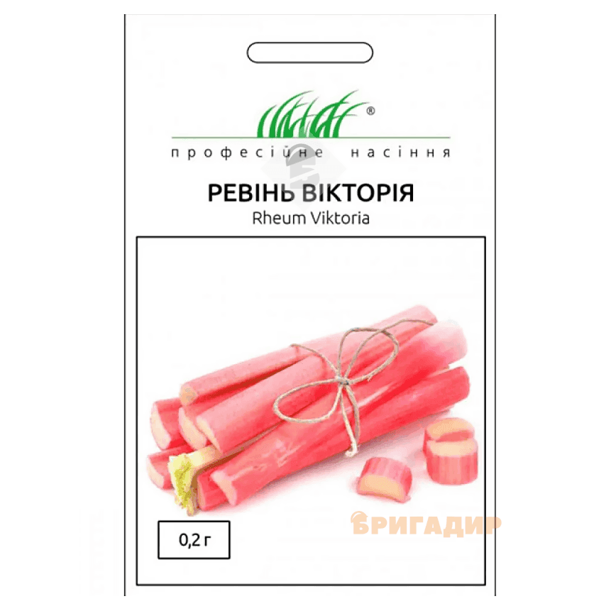 Ревінь Вікторія