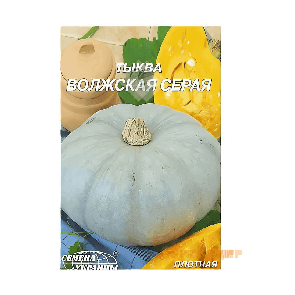 Гарбуз Волзький сірий