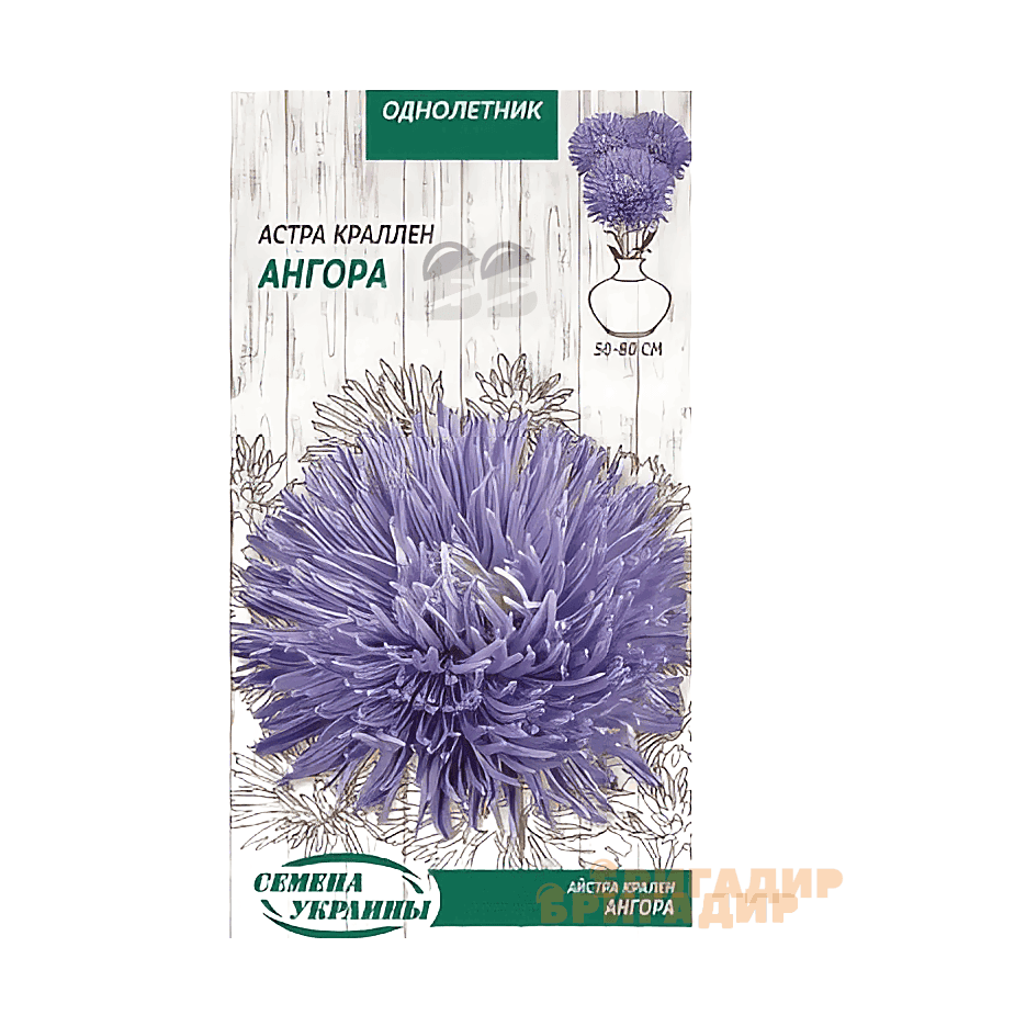 Айстра Ангора